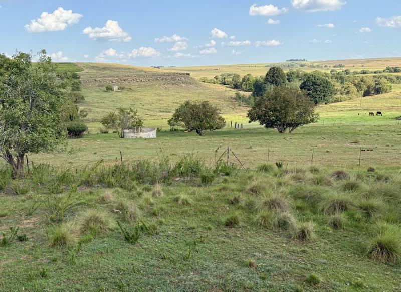 0 Bedroom Property for Sale in Harrismith Free State